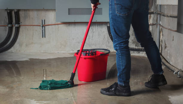Best Commercial water damage restoration  in Parsons, TN