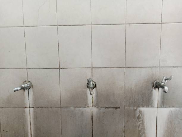 Best Flood damage cleanup  in Parsons, TN