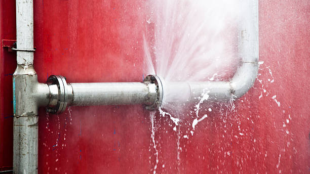 Best Flood damage cleanup  in Parsons, TN
